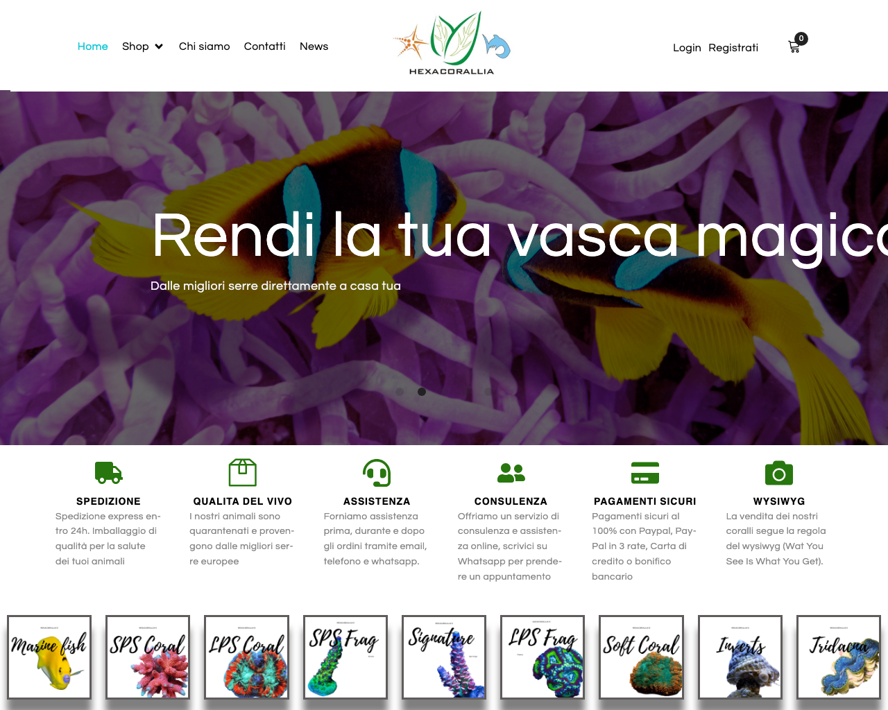 WooCommerce & Shopify Scalabili